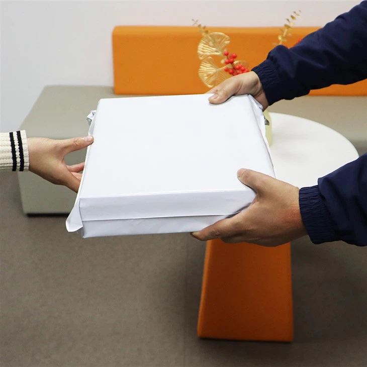 Sturdy Tearstop Large White Mailing Bag